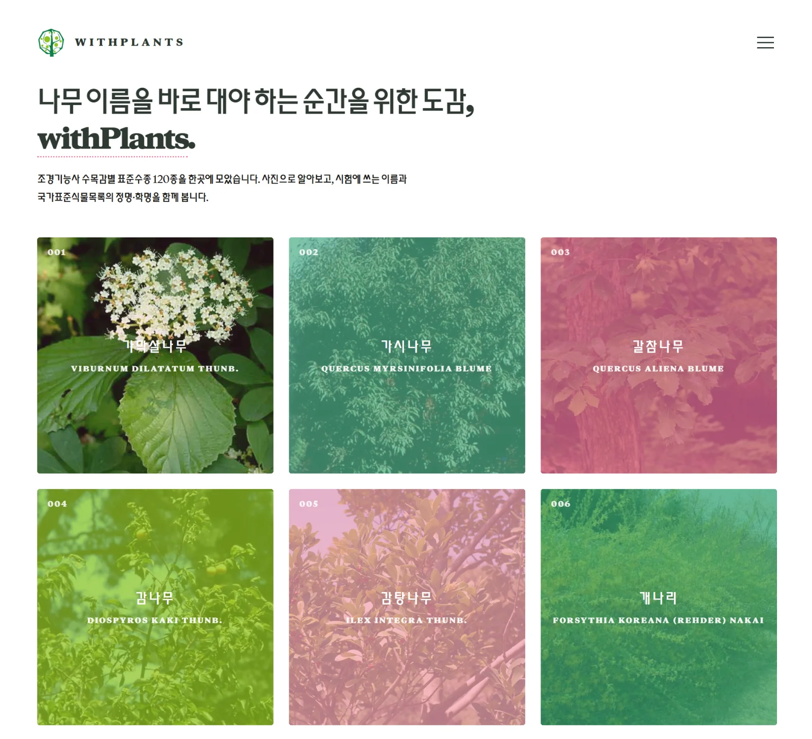 withPlants — 나무 이름을 찾는 사람을 위한 도감 이미지 1